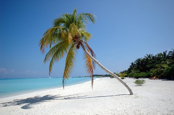 How can you successfully plan a romantic getaway in the Lake District?